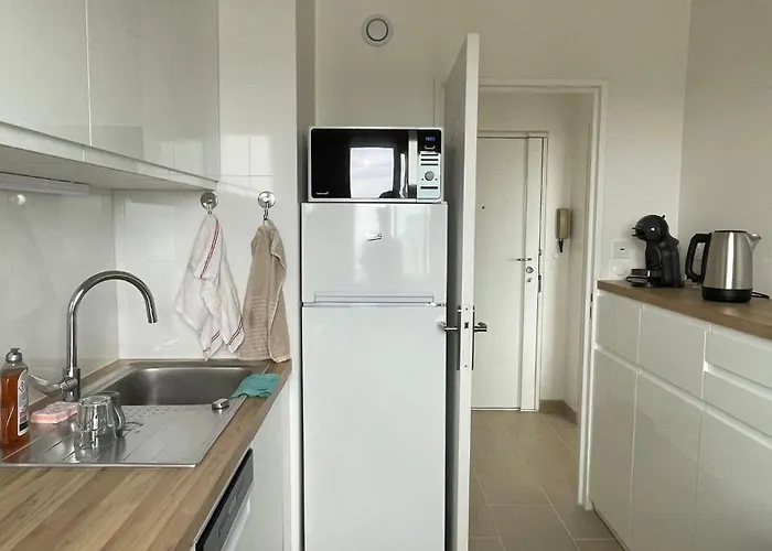 Sur Les Hauteurs De Belleville 19 Appartement Parijs